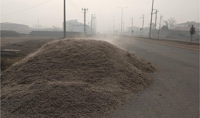 Iğdır'da Yol Kenarındaki Hayvan Yemi Mahallelinin Tepkisini Çekti