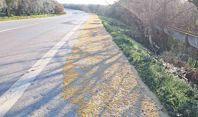 İznik'te Fasulye Yağmuru: Tonlarca Soya Fasulyesi Yola Saçıldı