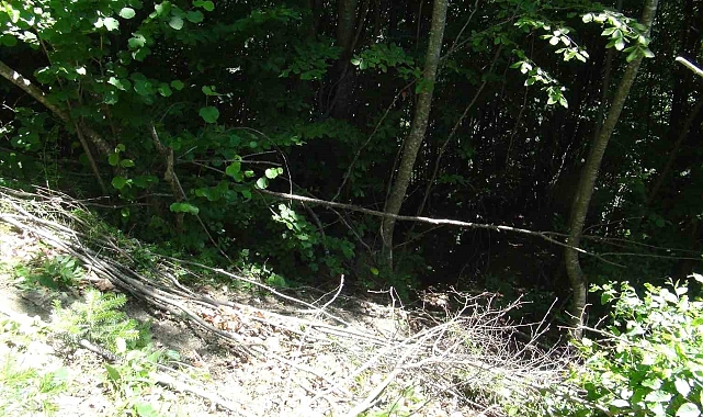 Kastamonu'daki Çuval Cinayeti Davasında Yeni Gelişmeler
