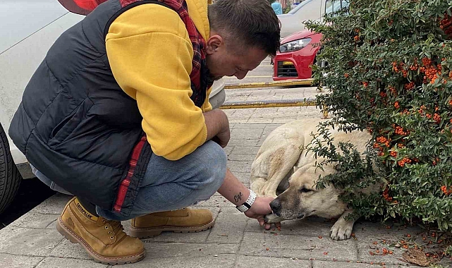 Kendisine 5 yıldır bakan esnafa pişmiş tavuk getirerek vefa borcunu ödemeye çalıştı