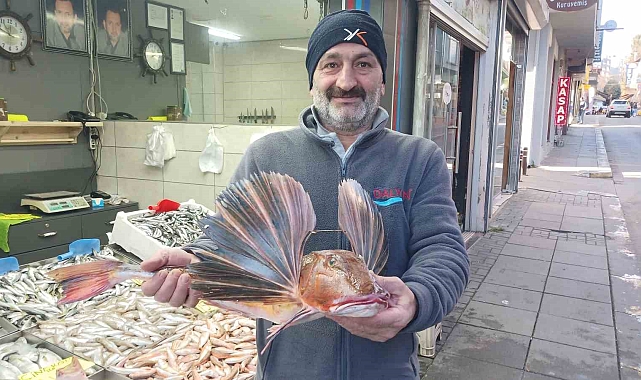 Kırlangıç balığı, balıkçıların ağına takıldı