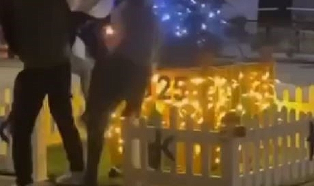 Küçükçekmece'de Yılbaşı Ağacına Baltalı Saldırı: Şoke Edici Görüntüler!