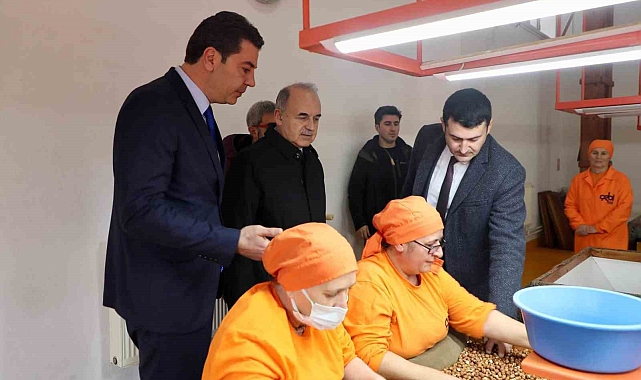 Ordu'nun Fındık Gururu: 95 Yaşında Bir Tabela, 3 Kuşak Hikaye