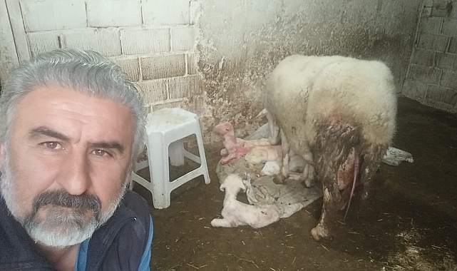 Pamukkale'de Dörtüz Mucizesi!