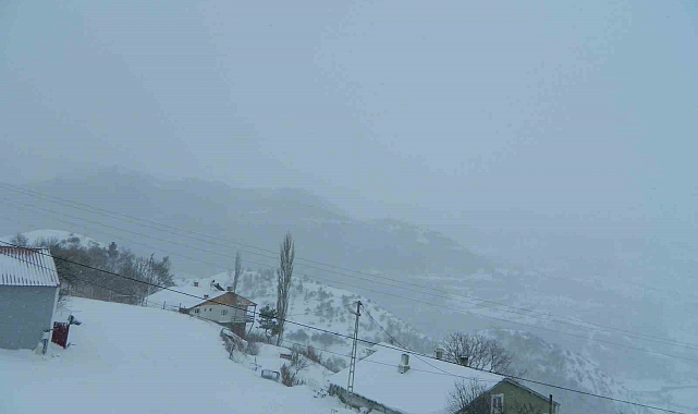 Posof'ta Yaşamı Felç Eden Kar Yağışı ve Tipi