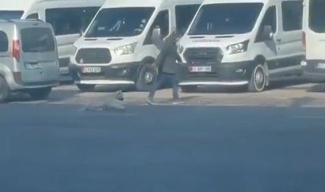 Şanlıurfa'da köpeğe yapılan zulüm kameraya yansıdı