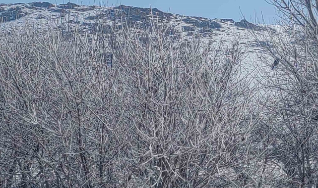 Sıcaklık sıfırın altına düştü dereler dondu, ağaçlar kırağı tuttu
