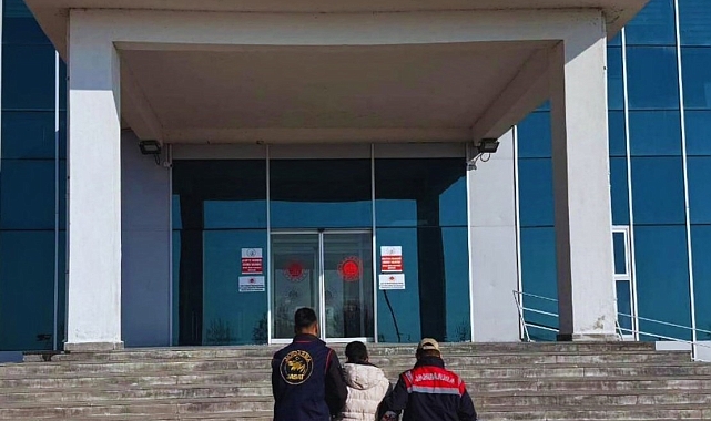 Van'da Düzensiz Göçmen Operasyonu: 11 Kişi Yakalandı, 2 Organize Edici Tutuklandı