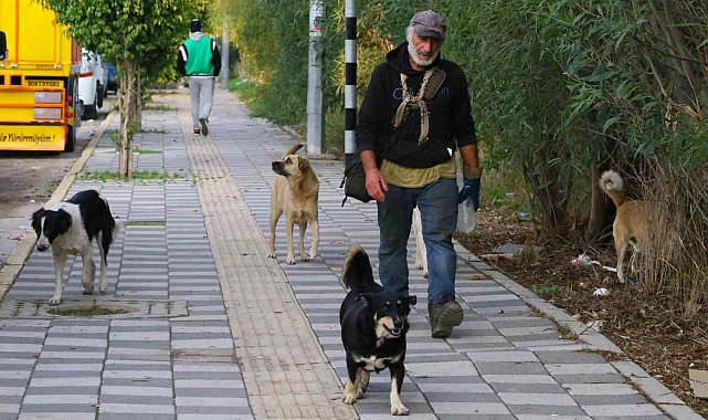 Yağmurlu bir günde yollarının kesiştiği köpeğini kaybedince, yaşadığı barakaya gömdü