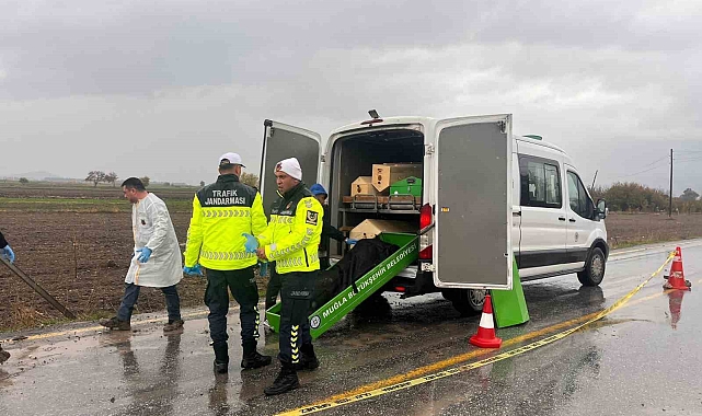 Yol kenarında erkek cesedi bulundu