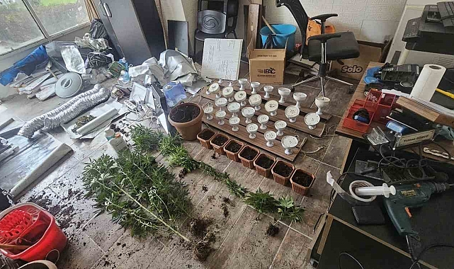 Adana'da İş Yerinde Esrar Yetiştiren Şüpheli Yakalandı