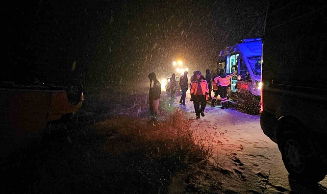 Adilcevaz'da Minibüs Kazası: 3 Yaralı