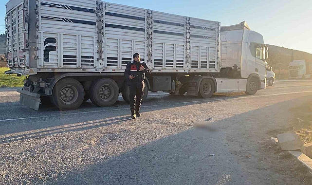 Adıyaman'da Büyük Trajedi: Yaya Hayatını Kaybetti