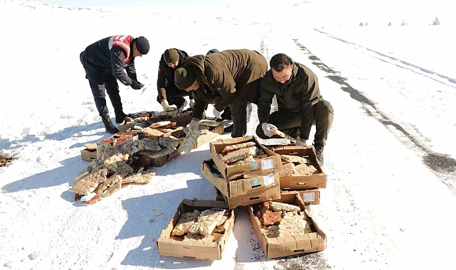 Ardahan'da çetin kış koşulları nedeniyle yaban hayvanları için yemleme çalışması yapıldı