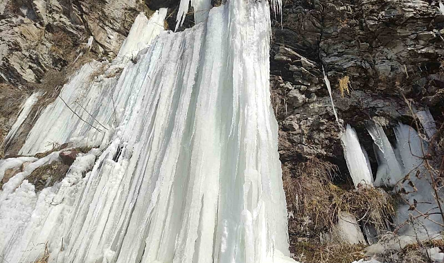 Ardahan'da Kışın Sihirli Dokunuşu: Donmuş Şelaleler ve Buz Tutmuş Çeşmeler