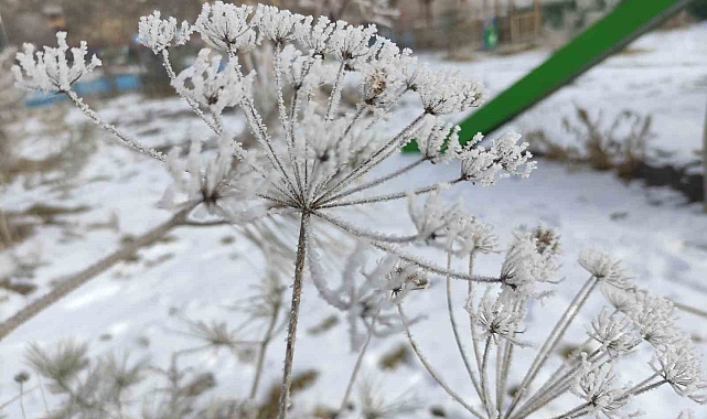 Ardahan'da Sibirya soğukları