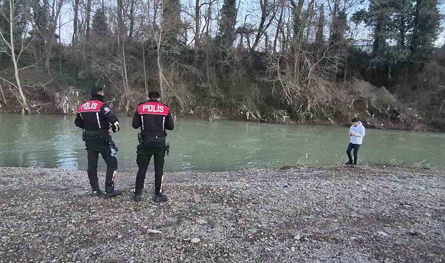 Bartın Irmağı'nda Mahsur Kalan Yunusun Kurtarılma Çabaları
