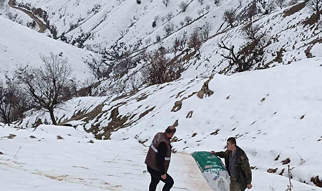 Batman'da hayvanlar için doğaya yem bırakıldı