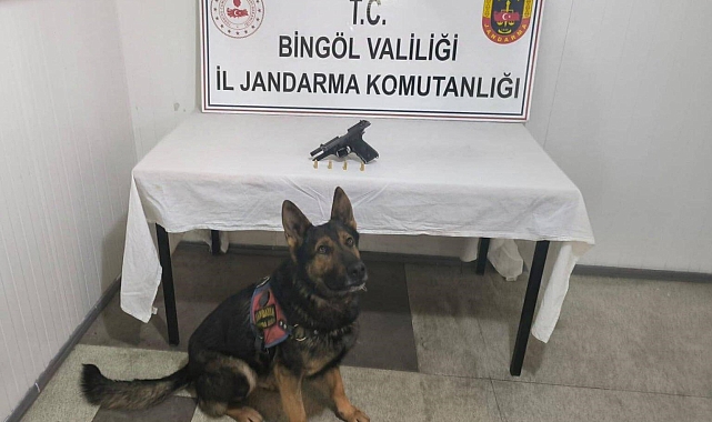 Bingöl'de Kapsamlı Operasyon: Silahlar, Uyuşturucu ve Gözaltılar