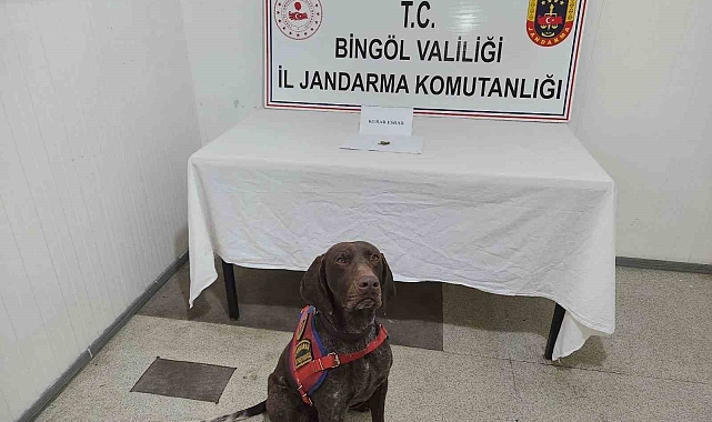 Bingöl'de Uyuşturucu Operasyonu: 3 Aranan Şahıs Yakalandı