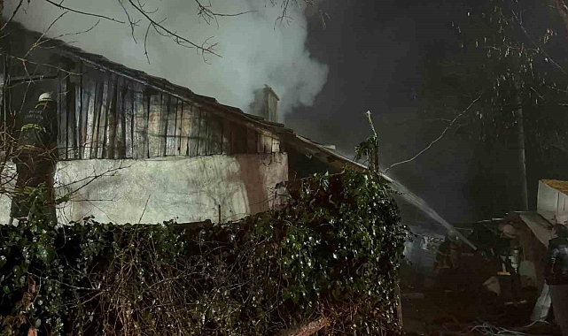 Bolu'da Büyük Yangın: 4 Hayvan Hayatını Kaybetti, Ev Küle Döndü