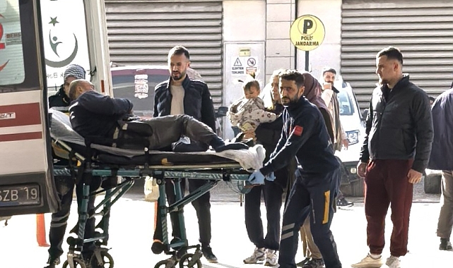 Budadığı ağaçtan düşen şahıs yaralandı