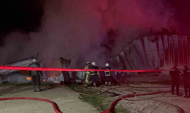 Bursa'da Fabrika Küle Döndü: Ses Sistemleri Üreten İşyeri Yandı