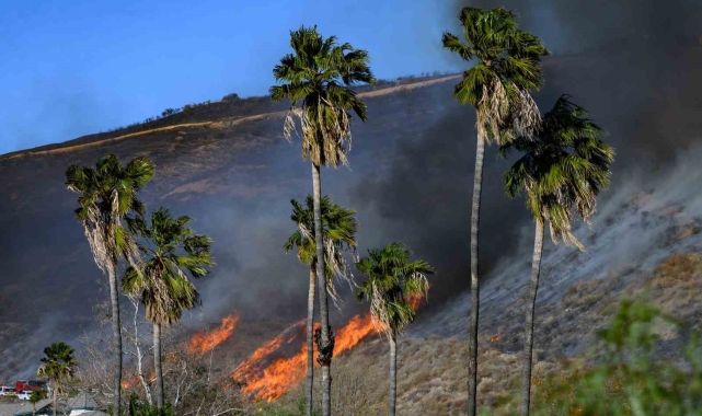 California'da çıkan yeni yangın kontrol altına alındı, 1 kişi gözaltında