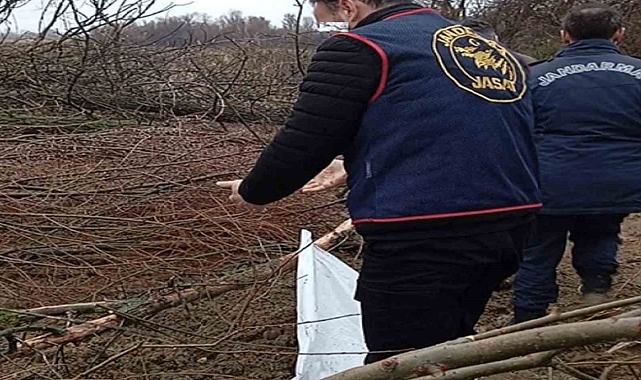 Çorum'da İlginç Olay! Çalındığını İddia Ettiği Traktörü Çukurda Bulunan Şahıs Gözaltında