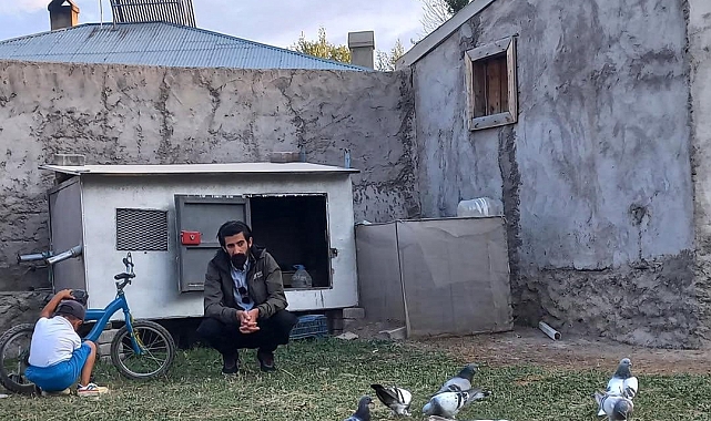 Diyadin'de Güvercin Aşkı Soğuk Havada da Sönmüyor