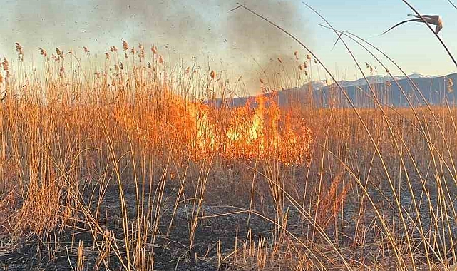 Eber Gölü'nü yakmaya çalışırken jandarmaya yakalandı