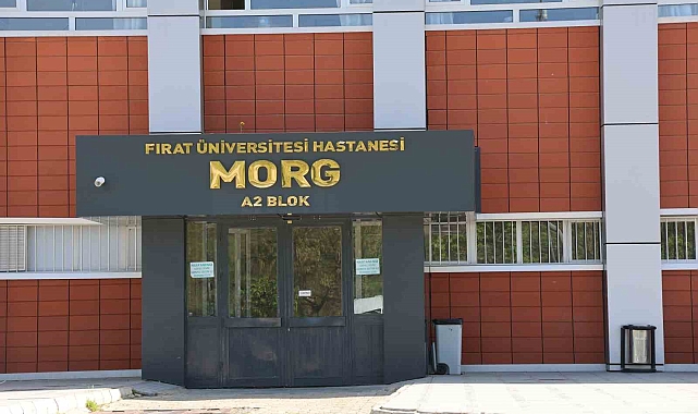Elazığ'da İşçi Ölümü: İnşaattaki Tragedi