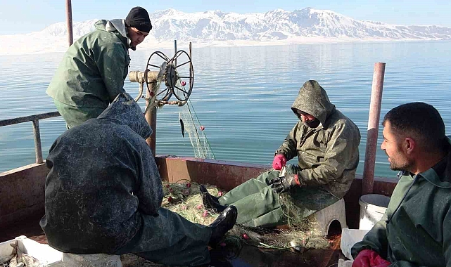 Erçek Gölü'ndeki balık popülasyonu balıkçıları sevindirdi