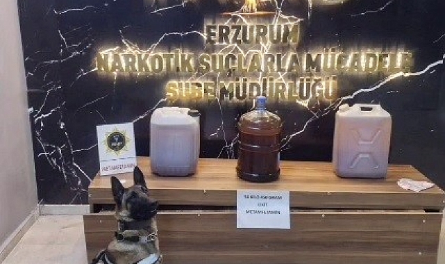Erciş'te Yeni Yılın İlk Bebeği ve Kaymakam'ın Özel Ziyaretleri