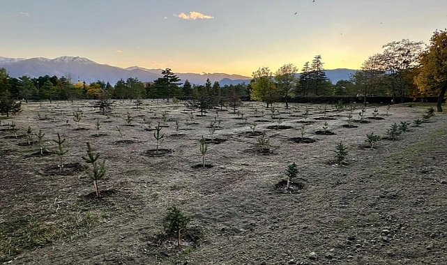Erzincan Yeşiliyor: 400 Bin Fidanla Doğaya Yeniden Hayat Verildi!