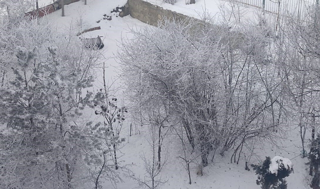 Erzurum Titredi: Yılın İlk Günü Donla Başladı!