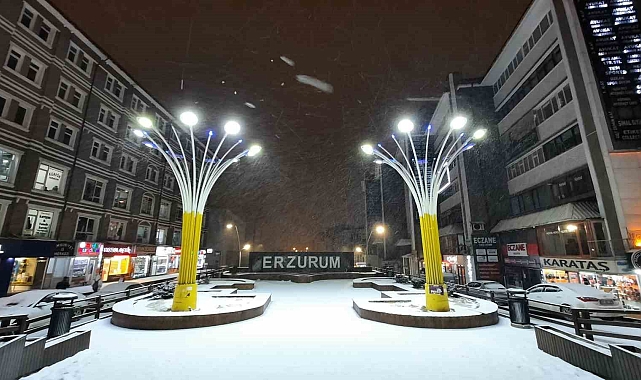 Erzurum Titriyor: Türkiye'nin En Soğuk Noktası Oldu!