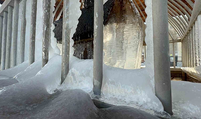 Erzurum'da Sibirya Soğukları Hayat Felç Etti