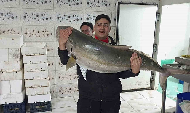 Hatay'da Dev Bir Av: 50 Kiloluk Akya Balığı!
