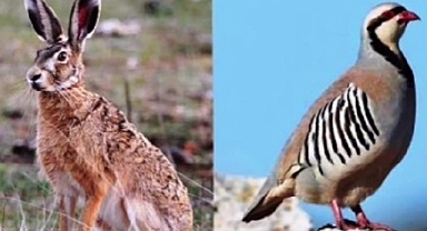 Iğdır'da Av Sezonu Sona Erdi: Şimdi Koruma Zamanı!