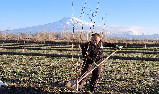 Iğdır Orman İşletme Müdürü Taner Tazegün'den Yılın İlk Gününde Fidan Dikimi