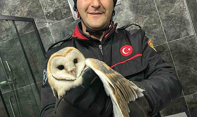Isparta'da Çıkan Tartışma Kavgaya Dönüştü: Kadınların Çekişmesi Kameralara Yansıdı
