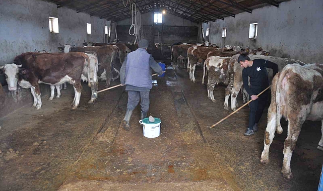 Kars'ta Kadın Çiftçilere Süt Sağımı Eğitimi: Hijyen ve Kalite Odaklı Bir Adım