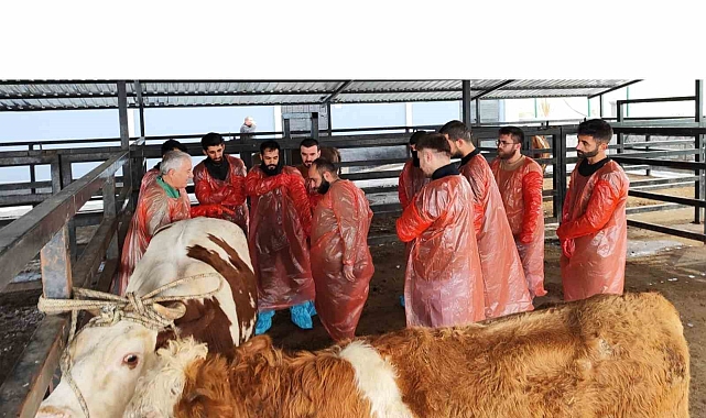 Kars'ta Suni Tohumlama Kursuyla Hayvancılık Gelişiyor