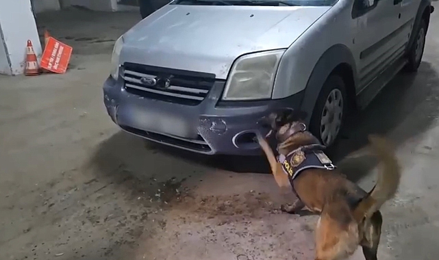 Kars'ta Zehir Tacirine Narkotik Köpeği Şila'dan Darbe!