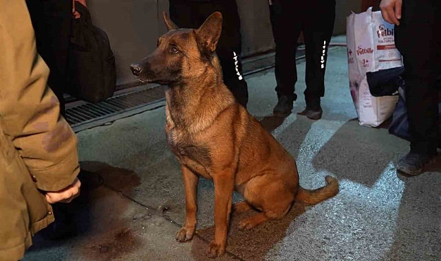 Kırıkkale'den Konya'ya Yaşam Umutu Taşıyan Patiler: Hera ve İglo