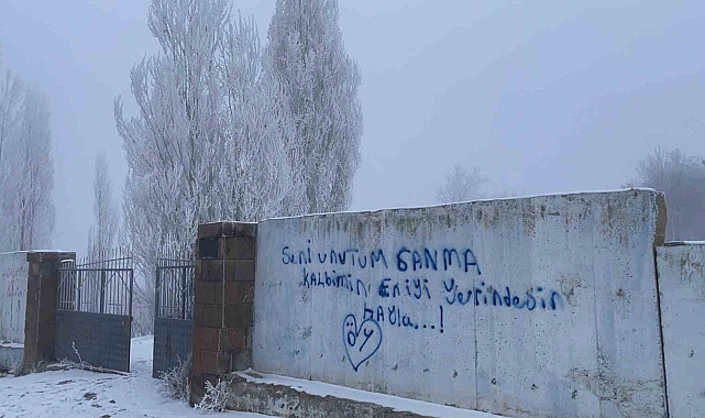 Malazgirt'te Sibirya Soğukları Hayatları Felç Etti, Doğayı Beyaza Bürüdü