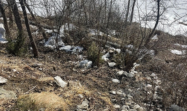 Oltu Kotik Köyü'nde Çeşme Başında Çöp Krizi