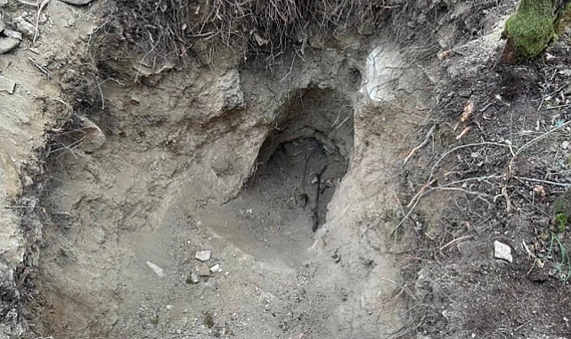 Sakarya'da Kaçak Kazıya Baskın: Fotoğraf Tuzağı Çözdü