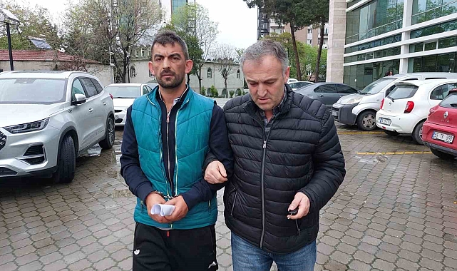 Samsun'da Trafik Kazası ve Sonrası Yaşananlar: Karmaşık Bir Olayın Ayrıntıları